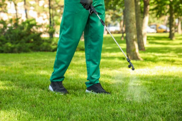 Payson Lawn Treatment
