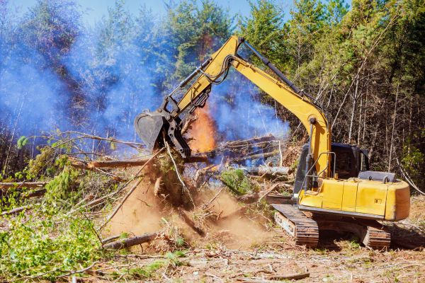 Payson Land Clearing